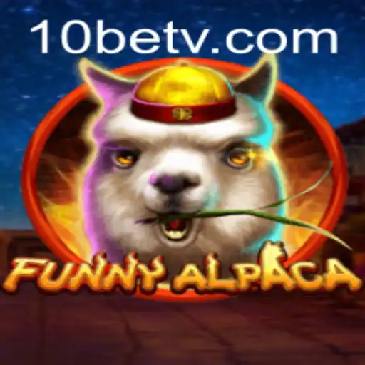 Exploring the Whimsical World of FunnyAlpaca